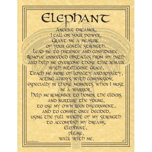 Elephant Prayer Poster Artwork