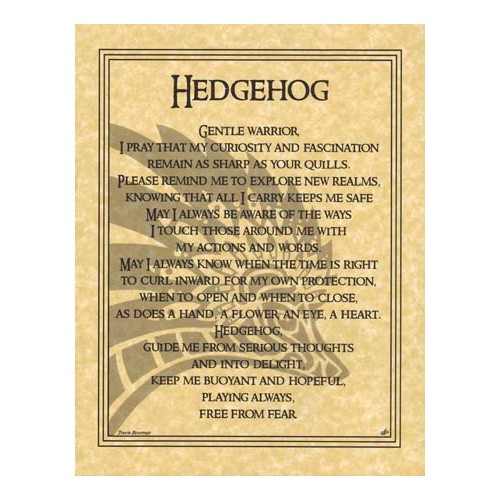 Hedgehog Prayer Poster