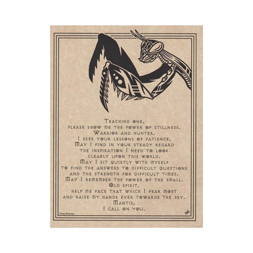 Mantis Wisdom Prayer Poster