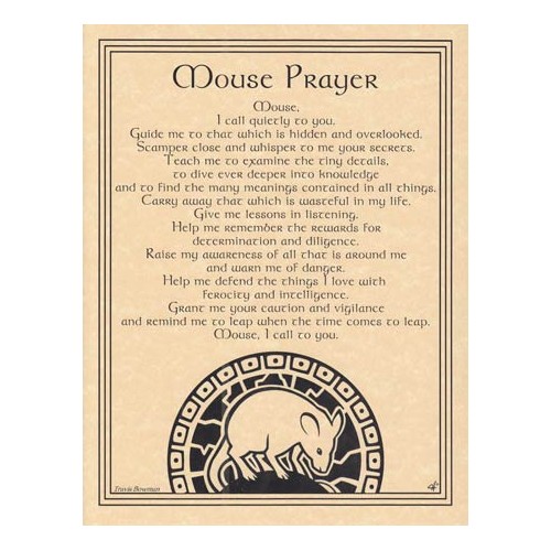 Mouse Prayer Wall Poster