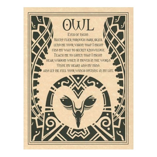 Inspirational Wisdom Owl Art Poster