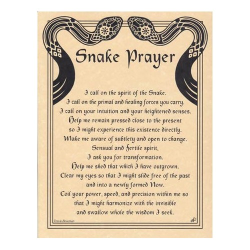 Snake Prayer Poster