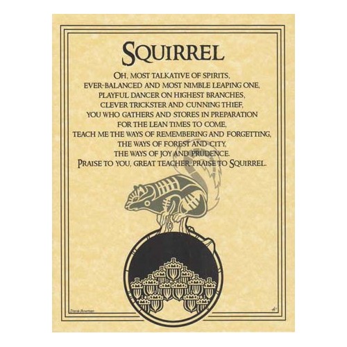 Squirrel Prayer Poster