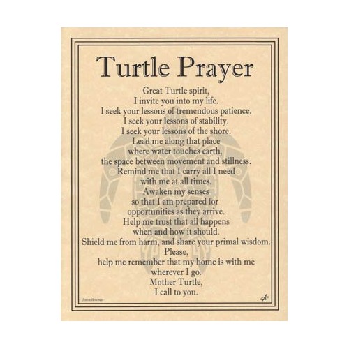 Turtle Prayer Poster Art