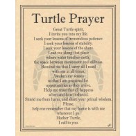 Turtle Prayer Poster Art