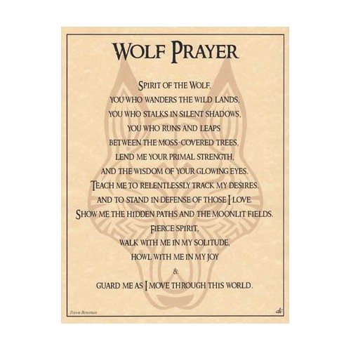 Wolf Prayer Poster Shamanic Art Print