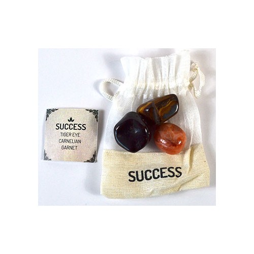 Tumbled Stone Kit for Success and Empowerment