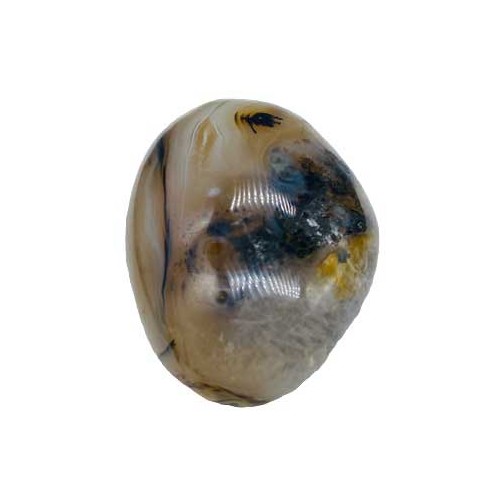 Dendritic Agate Palm Stone for Peace