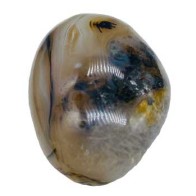 Dendritic Agate Palm Stone for Peace