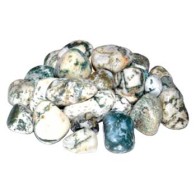 1 lb Tree Agate Tumbled Stones for Prosperity