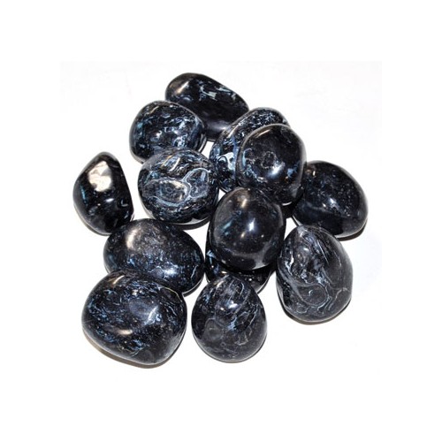 Black Tumbled Fossil Stone - 1 lb