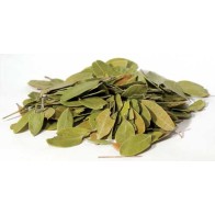 1oz Uva Ursi (Bearberry) Cosechada en la Naturaleza para Magia