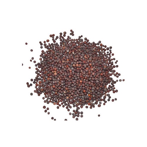 Whole 1 oz Brown Mustard Seed