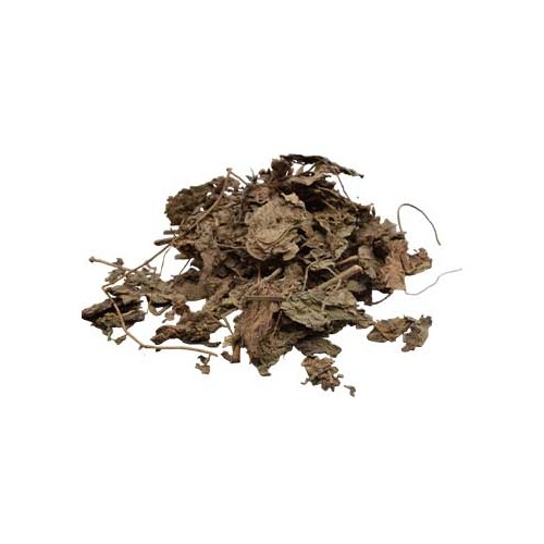 Hoja de Pachuli Entera 1oz para Hechicería