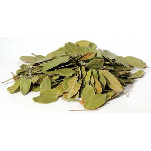 Wild Crafted Bearberry (Uva Ursi) 1 Lb