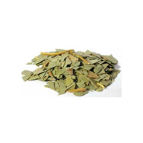 Eucalyptus Cut 2oz for Healing and Protection