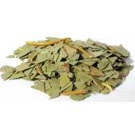 Eucalyptus Cut 2oz for Healing and Protection