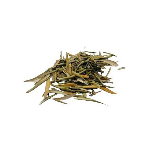 Whole Olive Leaf 2oz for Healing and Magick