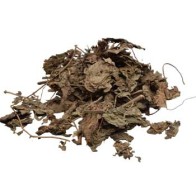 2oz Hoja de Pachulí Entera - Hierba Aromática