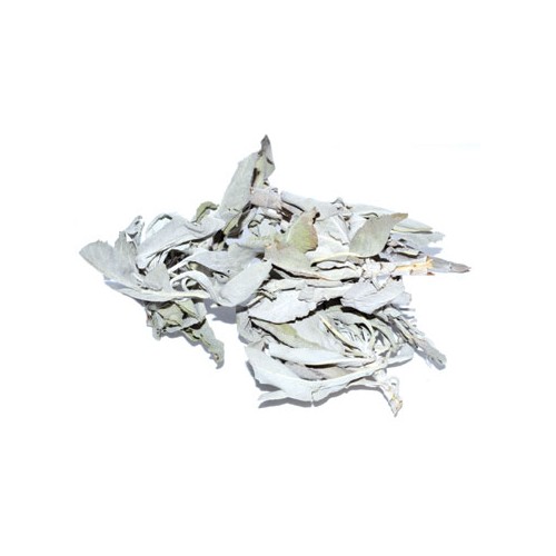 White Sage Loose Herbs for Smudging and Cleansing