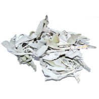 White Sage Loose Herbs for Smudging and Cleansing