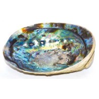 5"-6" Abalone Shell Incense Burner