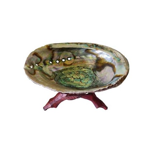 Abalone Shell Incense Burner 5-6 Inches