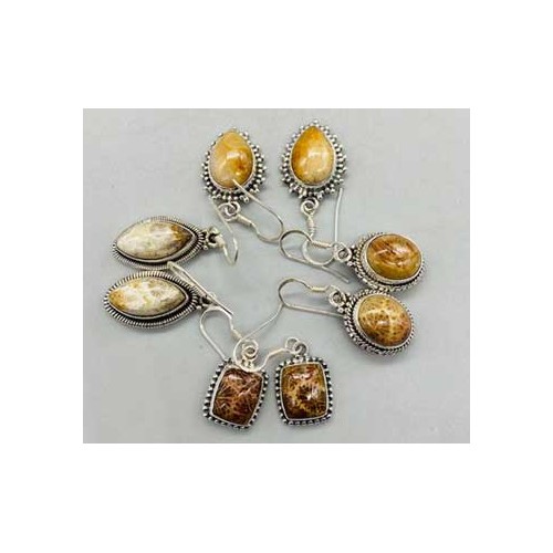 Fossil Coral Earrings in Various Styles