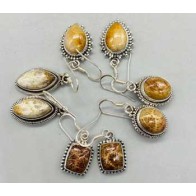 Fossil Coral Earrings in Various Styles