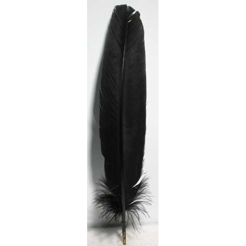 Set of 10 Black 12 Inch Feathers Magical Use