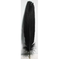 Set of 10 Black 12 Inch Feathers Magical Use