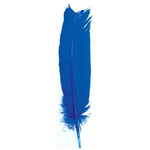 Set de 10 Plumas Azules para Rituales