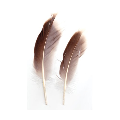 Natural Gray Goose Feather for Magical Writing