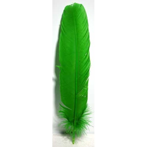 Set of Green Feathers for Rituals