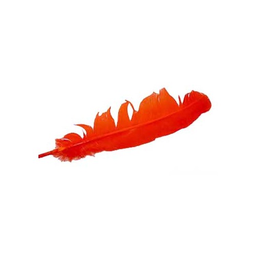 Dyed Orange Turkey Feather 12 inches