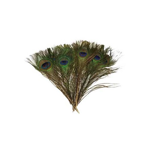 Pack of 100 Peacock Feathers for Crafts