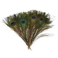 Pack of 100 Peacock Feathers for Crafts