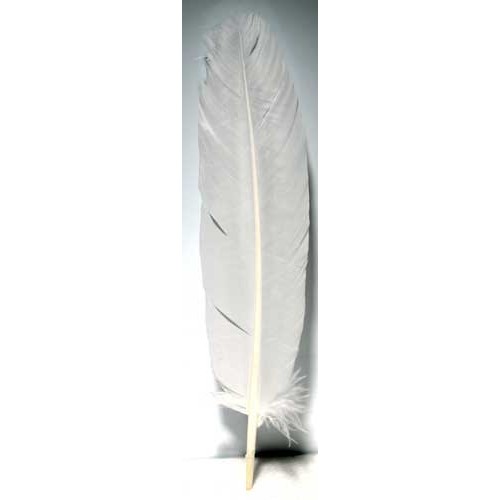 Set of 10 White Feathers 12"