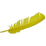 Set of 10 Yellow Turkey Feathers 12"