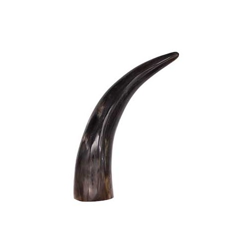 Polished Cattle Horn 9" Decorative Piece