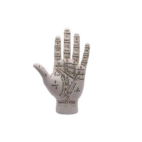 9 1/2" Palmistry Hand for Readings