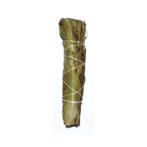 4" Eucalyptus Citriodora Smudge Stick