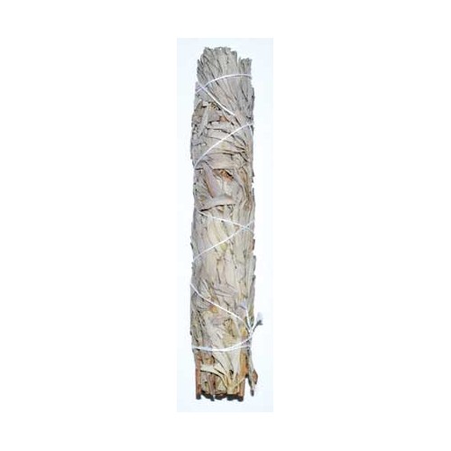 9" White Sage Smudge Stick for Purification