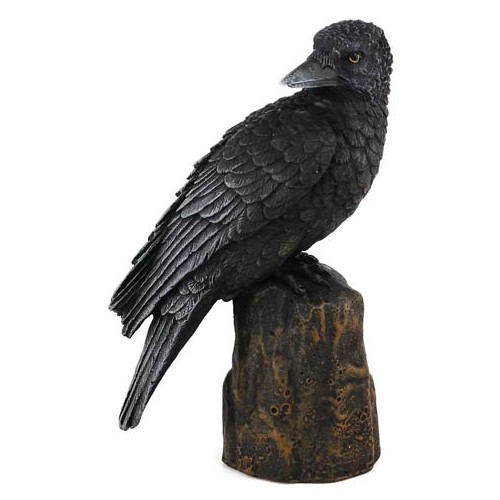 6" Backward Looking Raven Statue