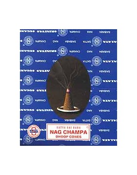 Incense, Incense burners and Charcoal ->Nag Champa, Satya & Super Hit Incense