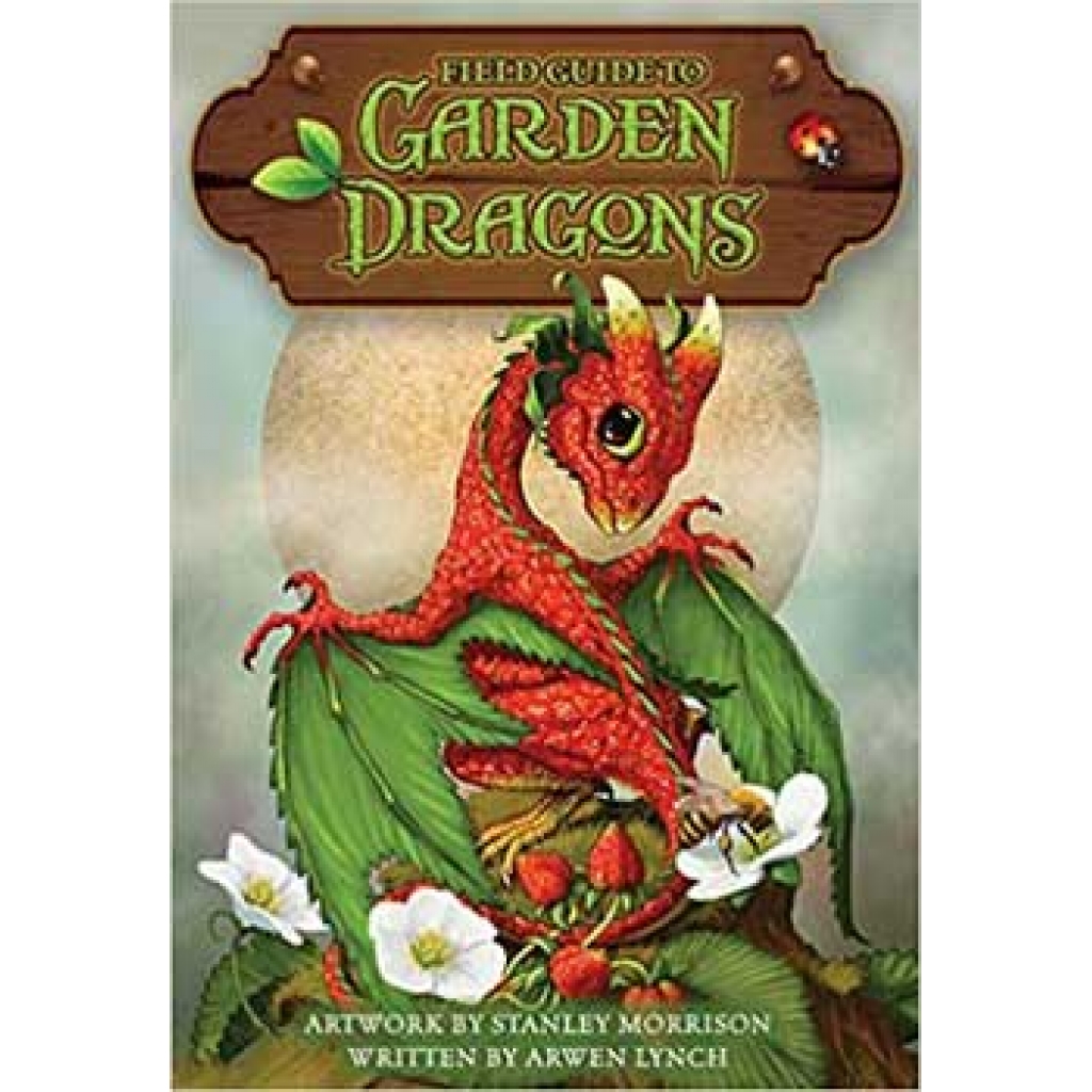 Field Guide to Garden Dragons by Morrison & Lynch