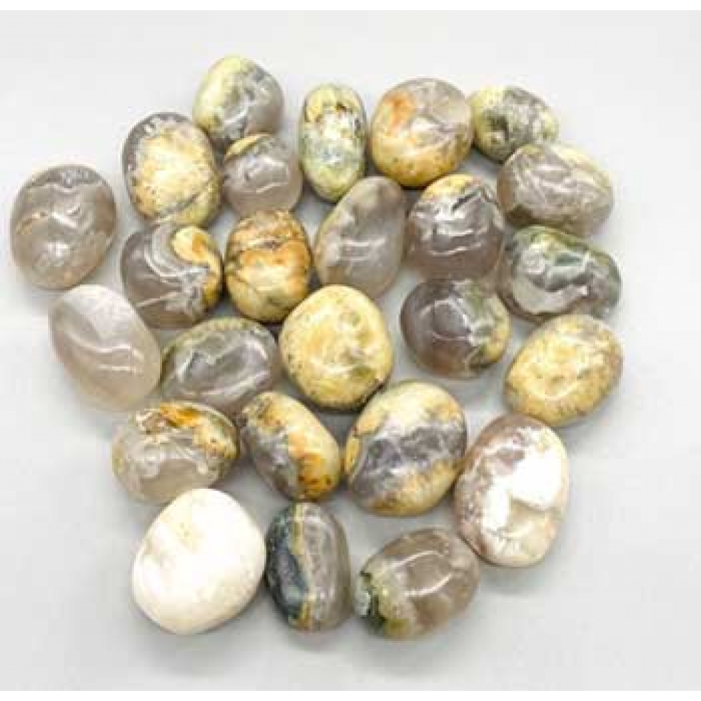 Opalized Petrified Wood Tumbled Stones (1 lb)