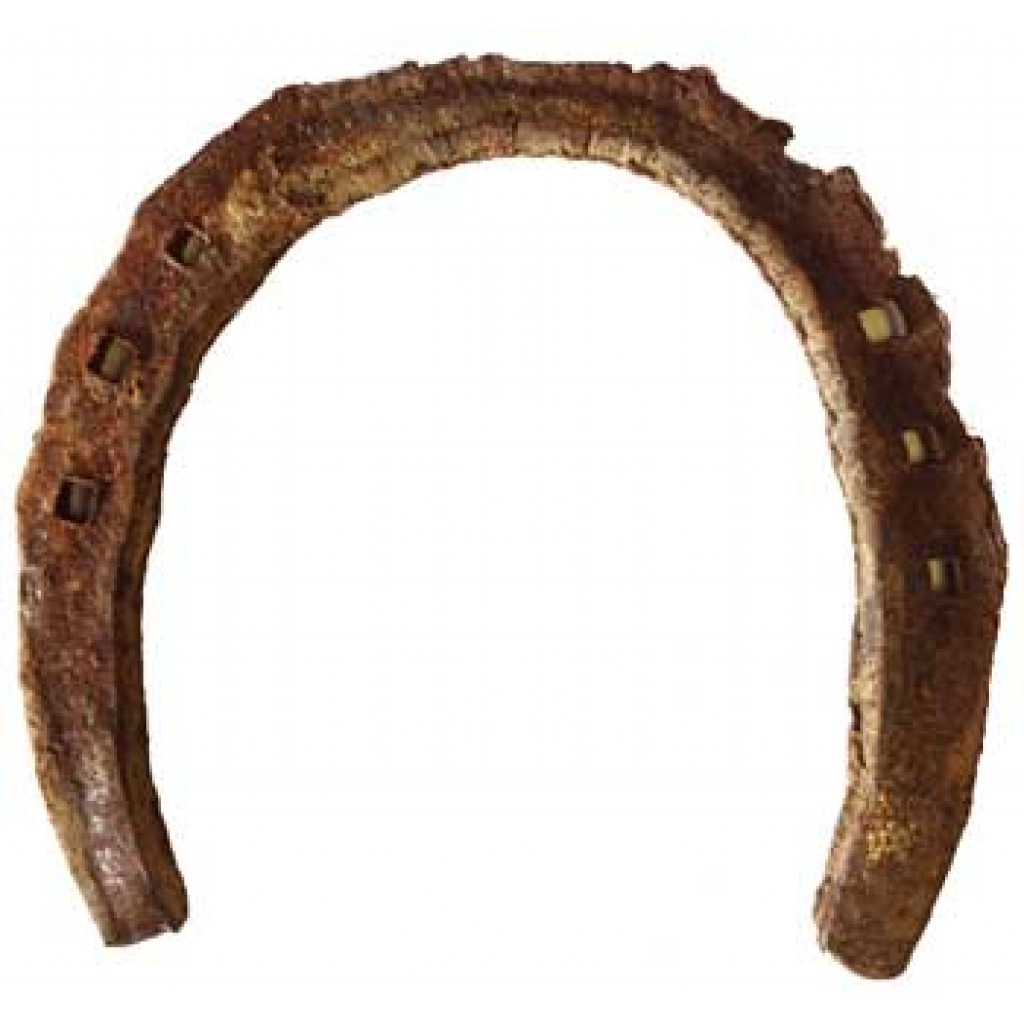 Genuine Used Horseshoe - A Lucky Charm for Your Space