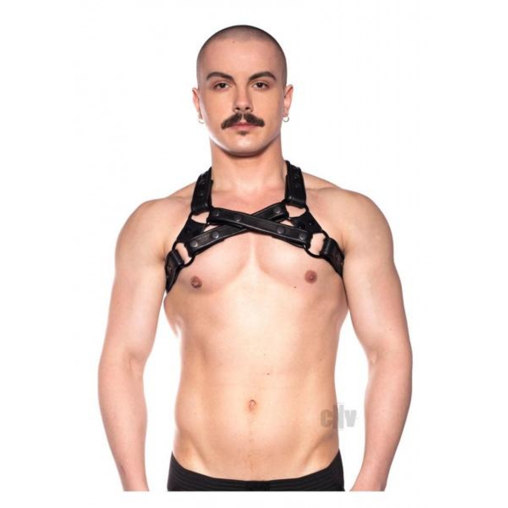 Prowler Red Cross Harness - Black S/M