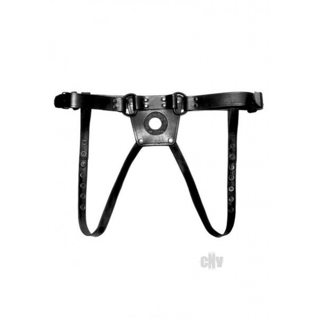 Prowler Red Dong Harness - Large - Black